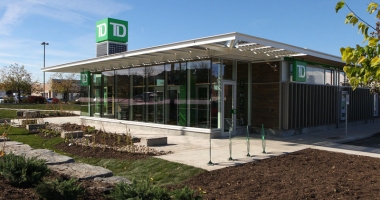 TD SEED Concept Branch